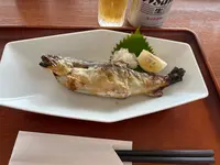 市場食堂 よしの写真・動画_image_555017