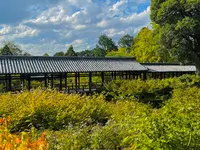 東福寺の写真・動画_image_555161
