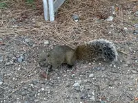友ヶ島 野奈浦広場の写真・動画_image_555279