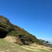 孝助松海岸の写真・動画_image_555291