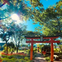 高萩八幡宮の写真・動画_image_555362