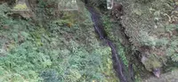 清流新岩国駅の写真・動画_image_555489