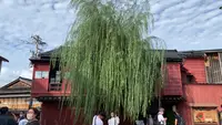 ひがし茶屋街の写真・動画_image_556094