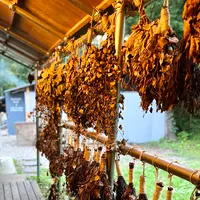 The Saunaの写真・動画_image_556557