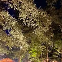 The Saunaの写真・動画_image_556584