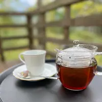 Sherokuma Sauna & Cafeの写真・動画_image_556610