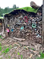 Sherokuma Sauna & Cafeの写真・動画_image_556620