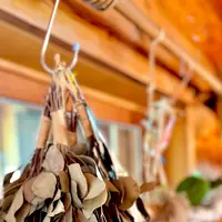 Sherokuma Sauna & Cafeの写真・動画_image_556624