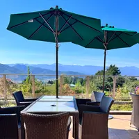 La Bottega della Pizza Napoletanaの写真・動画_image_556690