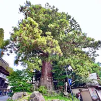 戸隠神社中社の写真・動画_image_556696