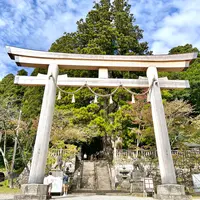 戸隠神社中社の写真・動画_image_556697