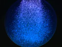 鶴岡市立加茂水族館（クラゲドリーム館）の写真・動画_image_557007