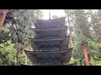 羽黒山五重塔の写真・動画_image_557008