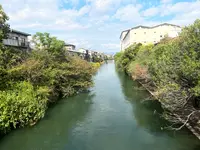 坂本龍馬避難の材木小屋跡の写真・動画_image_557028