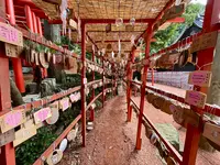 石浦神社の写真・動画_image_557399