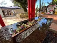 石浦神社の写真・動画_image_557400