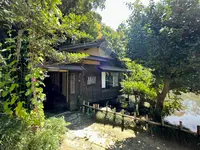 兼六園の写真・動画_image_557407