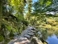 兼六園の写真・動画_image_557415