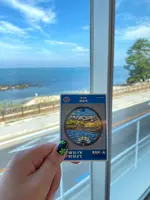 道の駅 雨晴の写真・動画_image_557815