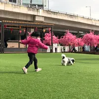 東岸公園主題區（第一期）の写真・動画_image_557870