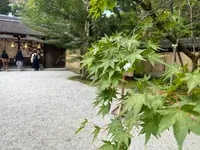 河合神社の写真・動画_image_558027