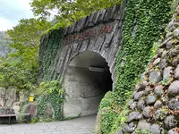 清津峡渓谷トンネルの写真・動画_image_558336
