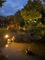 ホテル風鈴屋の写真・動画_image_558339