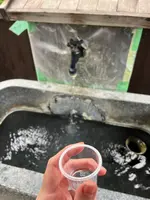 源泉の杜の写真・動画_image_558345
