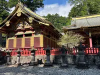 日光東照宮の写真・動画_image_558615