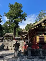 日光東照宮の写真・動画_image_558616