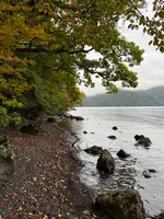 中禅寺湖の写真・動画_image_558681