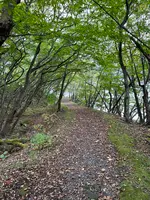 中禅寺湖の写真・動画_image_558685