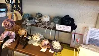 カーサ ナチュラの写真・動画_image_558737