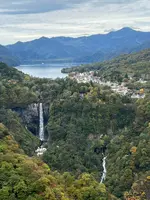 明智平展望台の写真・動画_image_558751