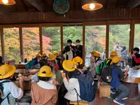 竜頭ノ滝の写真・動画_image_558767