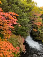 竜頭ノ滝の写真・動画_image_558769
