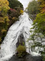 湯滝の写真・動画_image_558771