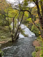 湯滝の写真・動画_image_558772