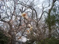 鶴林寺の写真・動画_image_558821