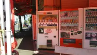 石田鶏卵の写真・動画_image_558837