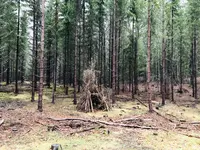 Pietiläntie 23の写真・動画_image_558875