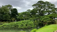 兼六園の写真・動画_image_559030