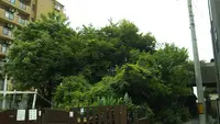 高射砲跡の写真・動画_image_559281