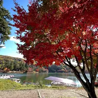 道の駅 ビーナスライン蓼科湖の写真・動画_image_559444