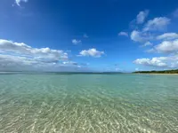 コンドイ浜の写真・動画_image_559519