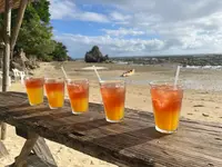 浜辺の茶屋の写真・動画_image_559552