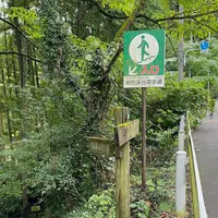 御岳渓谷の写真・動画_image_559595