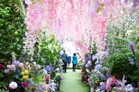 The Grounds of Alexandriaの写真・動画_image_559656