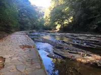 養老渓谷の写真・動画_image_559751