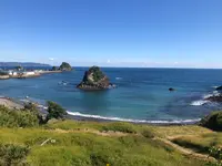 鴨川松島の写真・動画_image_559753